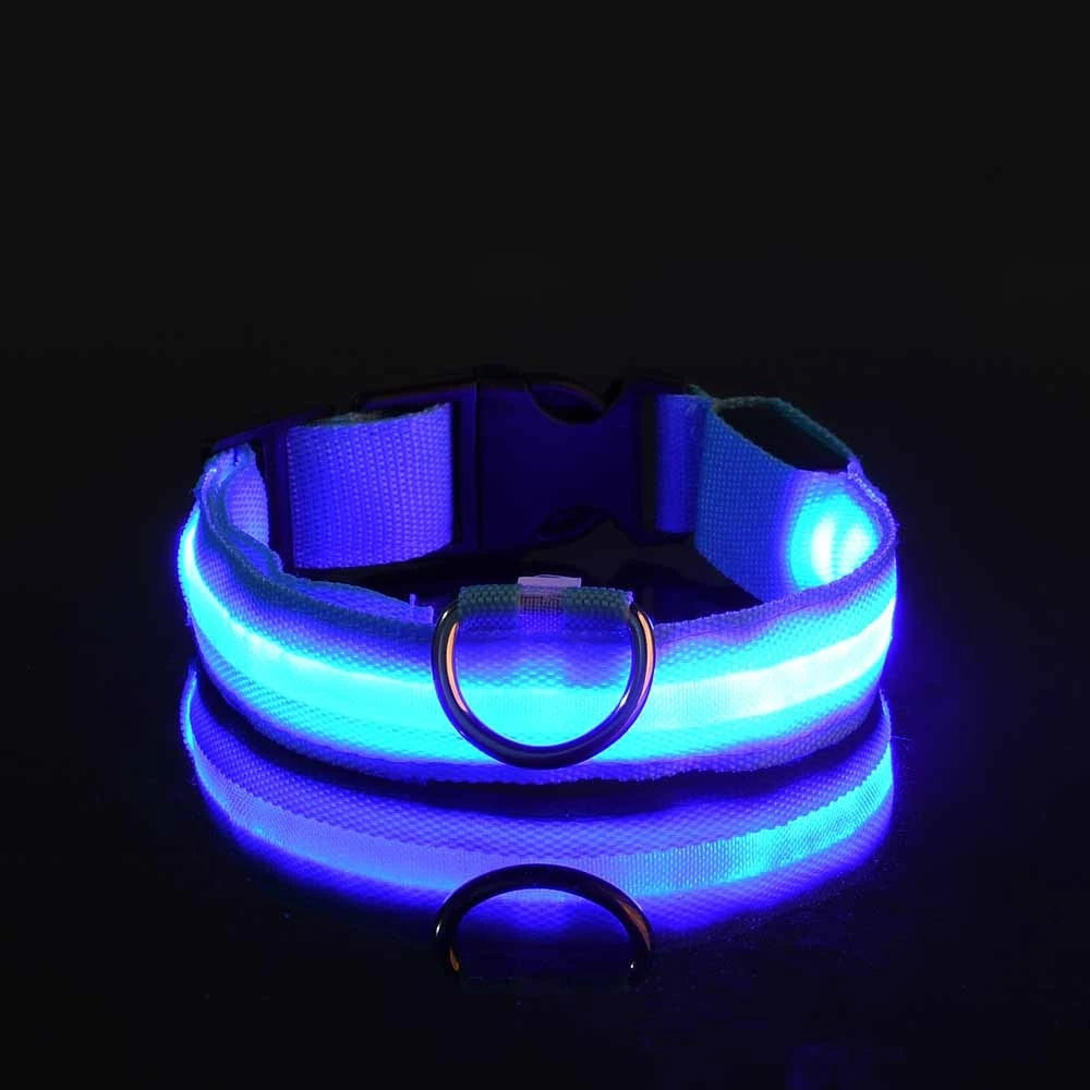 Oscar Paw LED Safety Collar for Dogs (Rechargeable & Adjustable)