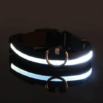 Oscar Paw LED Safety Collar for Dogs (Rechargeable & Adjustable)