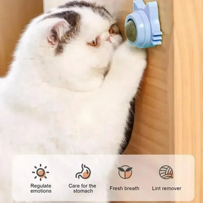 🥇 OscarPaw™ MintSphere Wall Toy