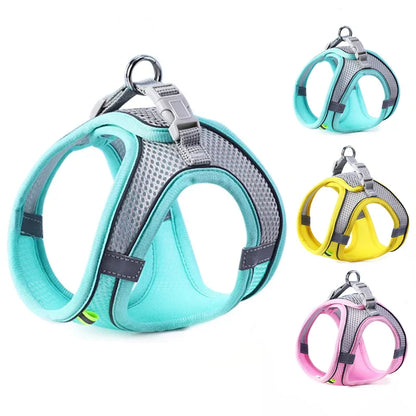 Oscar Paw SafeWalk™ Reflective Pet Harness & Leash Set