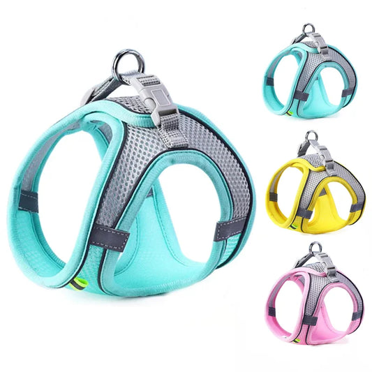 Oscar Paw SafeWalk™ Reflective Pet Harness & Leash Set