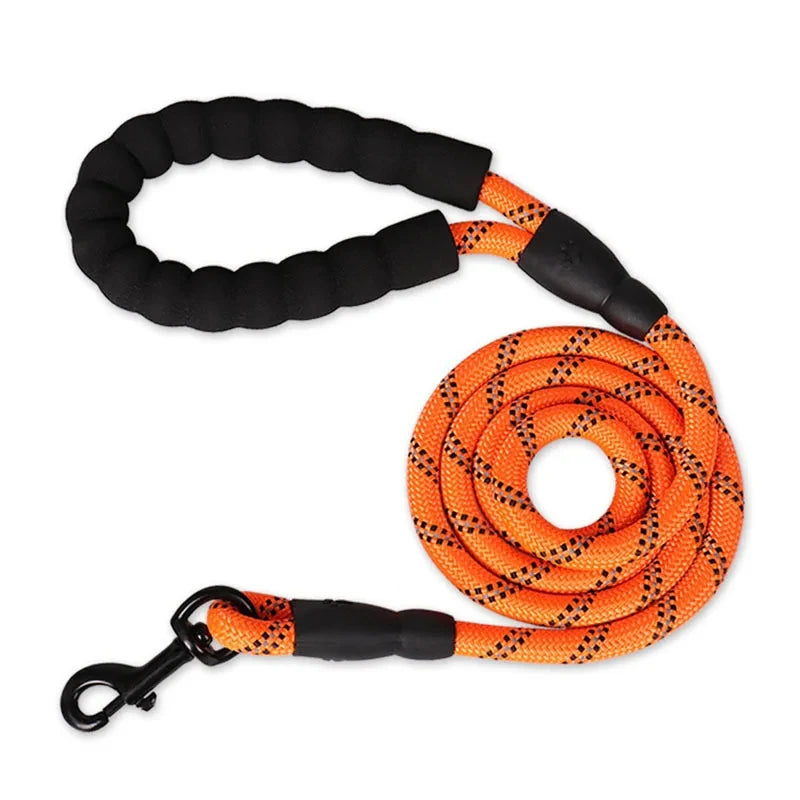 Oscar Paw Reflective Dog Leash