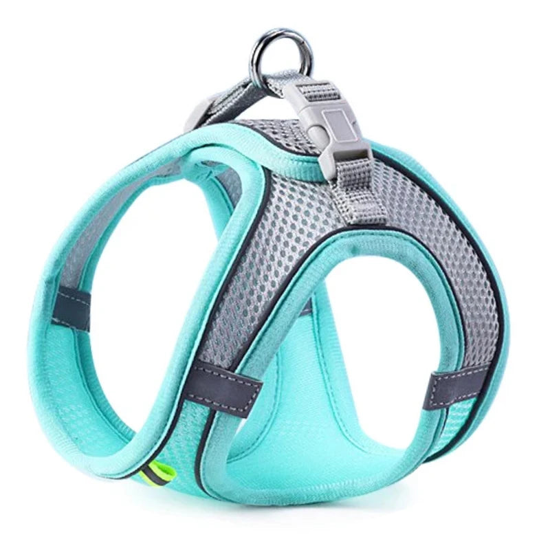 Oscar Paw SafeWalk™ Reflective Pet Harness & Leash Set