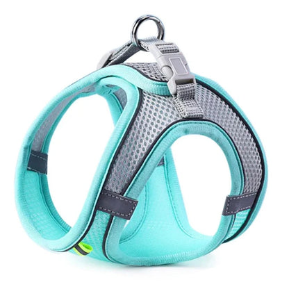 Oscar Paw SafeWalk™ Reflective Pet Harness & Leash Set