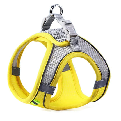 Oscar Paw SafeWalk™ Reflective Pet Harness & Leash Set