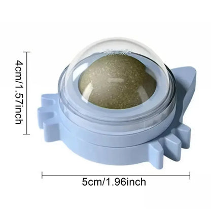 🥇 OscarPaw™ MintSphere Wall Toy