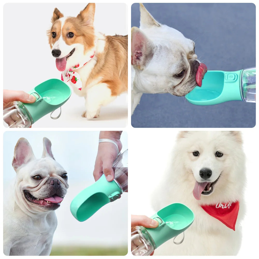 Oscar Paw AquaGo™ Portable Pet Water Bottle