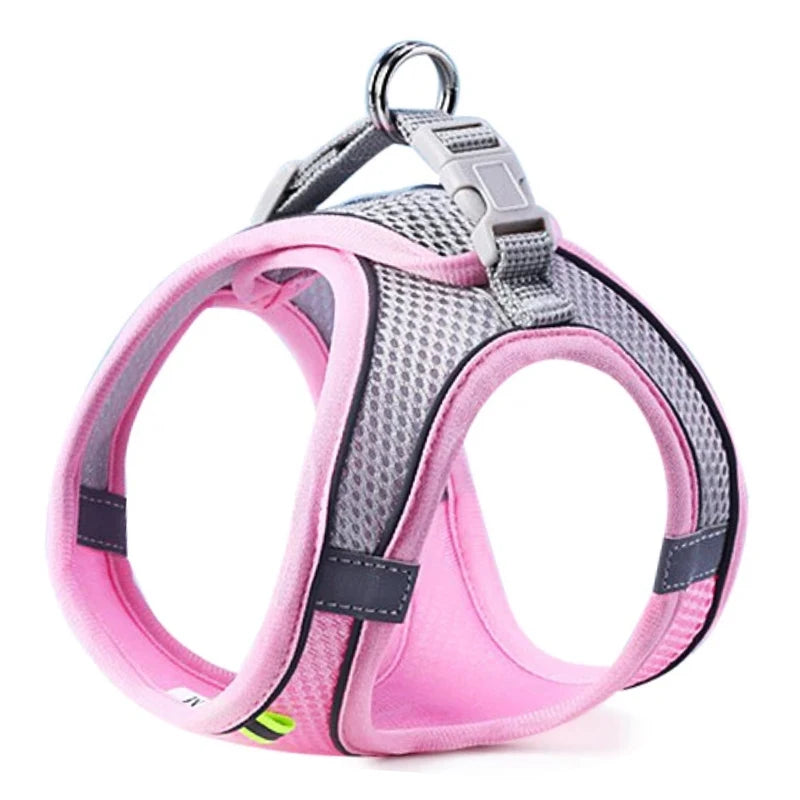 Oscar Paw SafeWalk™ Reflective Pet Harness & Leash Set