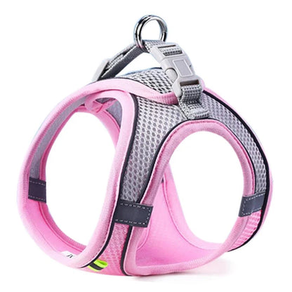 Oscar Paw SafeWalk™ Reflective Pet Harness & Leash Set