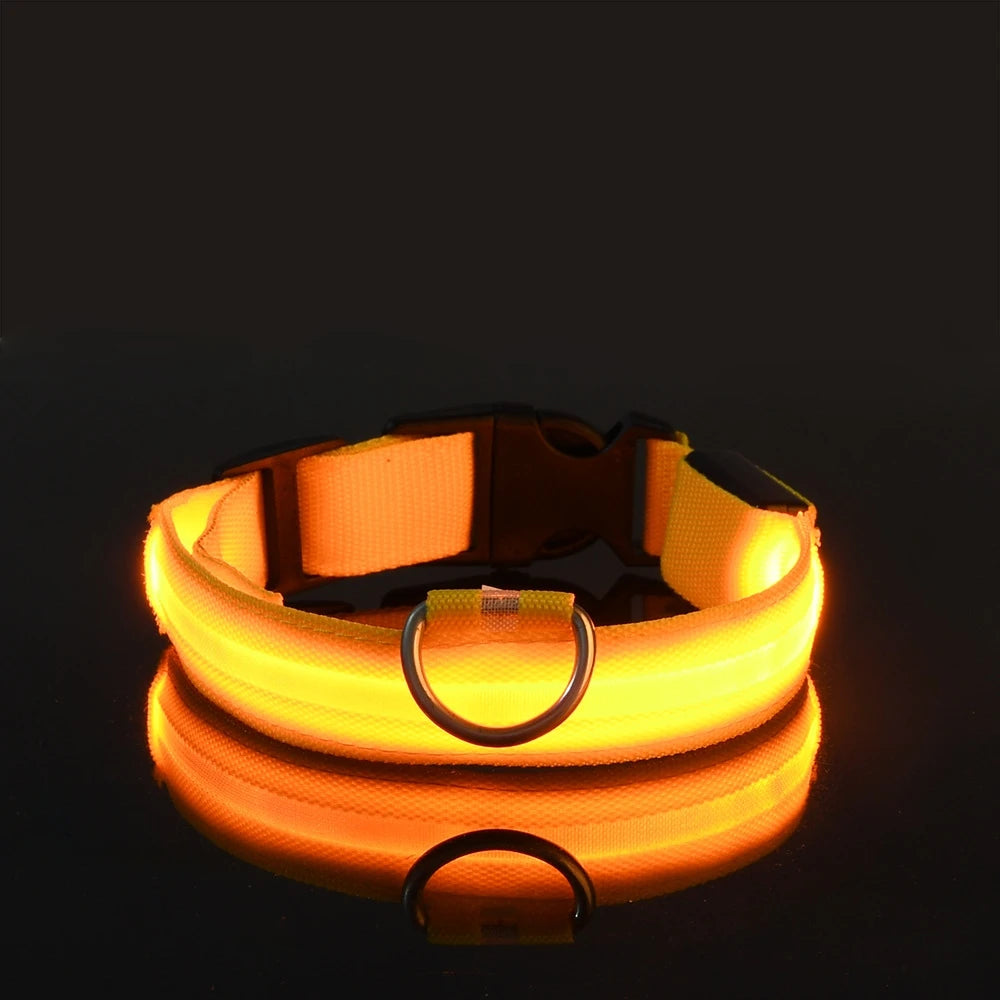 Oscar Paw LED Safety Collar for Dogs (Rechargeable & Adjustable)