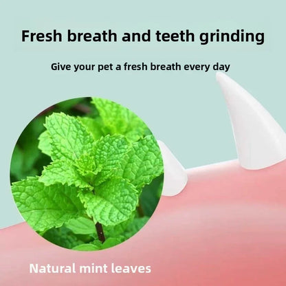 🥇 OscarPaw™ MintSphere Wall Toy