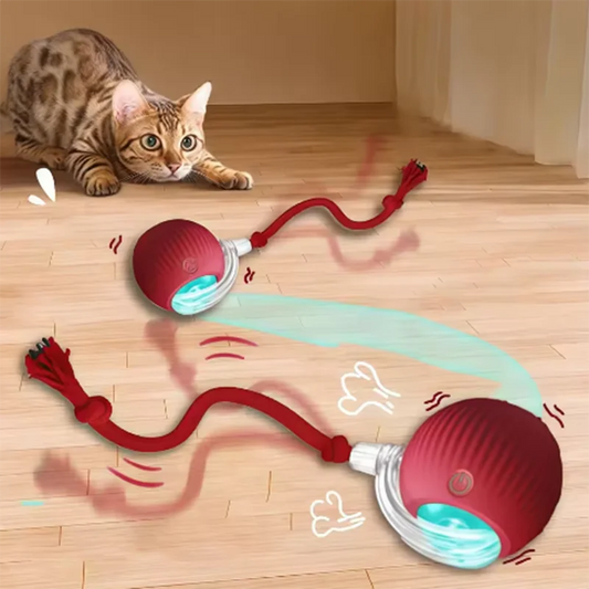 Oscar Paw Smart Interactive Cat Toy Ball