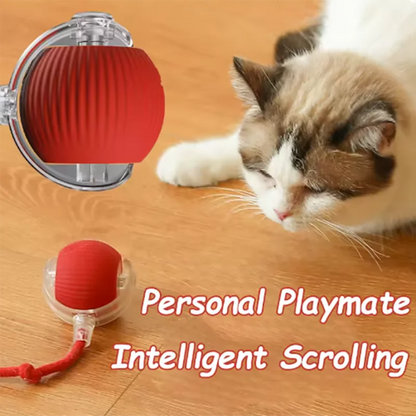 Oscar Paw Smart Interactive Cat Toy Ball