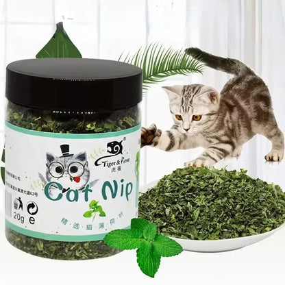 OscarPaw™ WildMint Premium Catnip (20g)