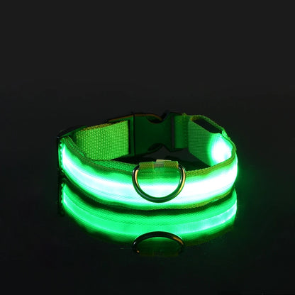 Oscar Paw LED Safety Collar for Dogs (Rechargeable & Adjustable)