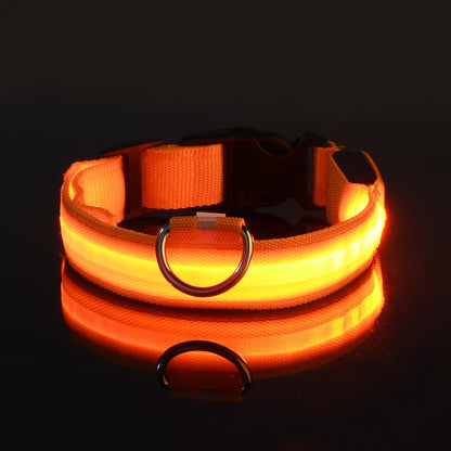 Oscar Paw LED Safety Collar for Dogs (Rechargeable & Adjustable)