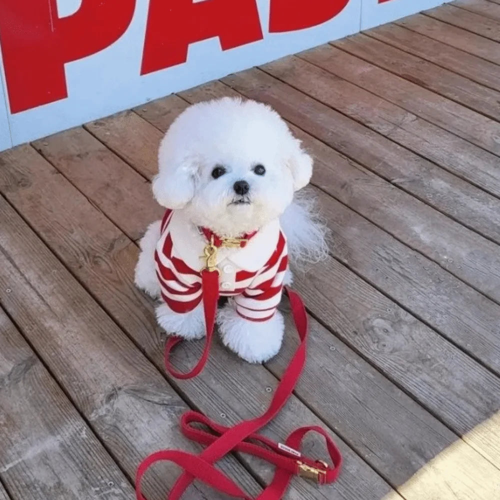 OscarPaw StripeCool™ Lightweight Dog Shirt