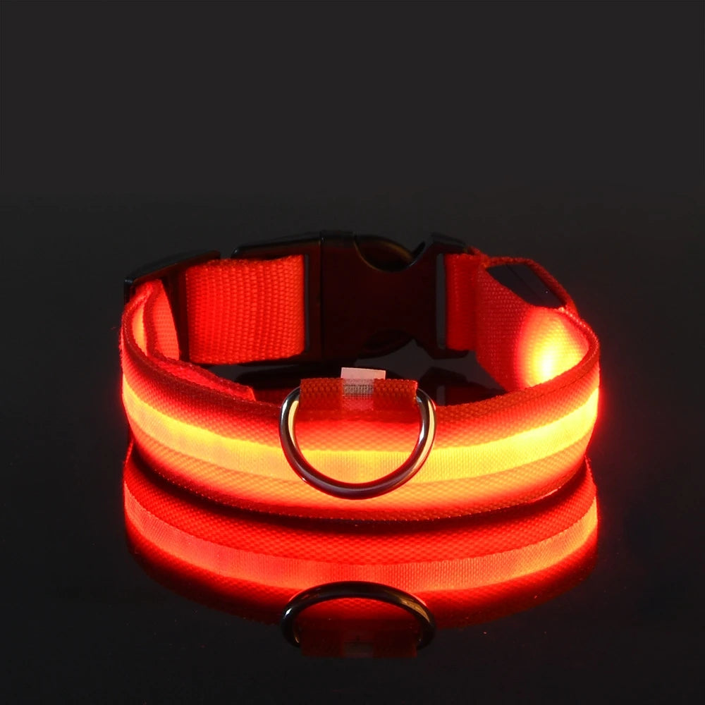 Oscar Paw LED Safety Collar for Dogs (Rechargeable & Adjustable)