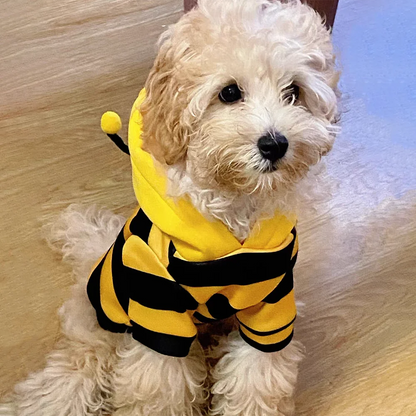 🥇 OscarPaw™ BuzzBuddy Hoodie