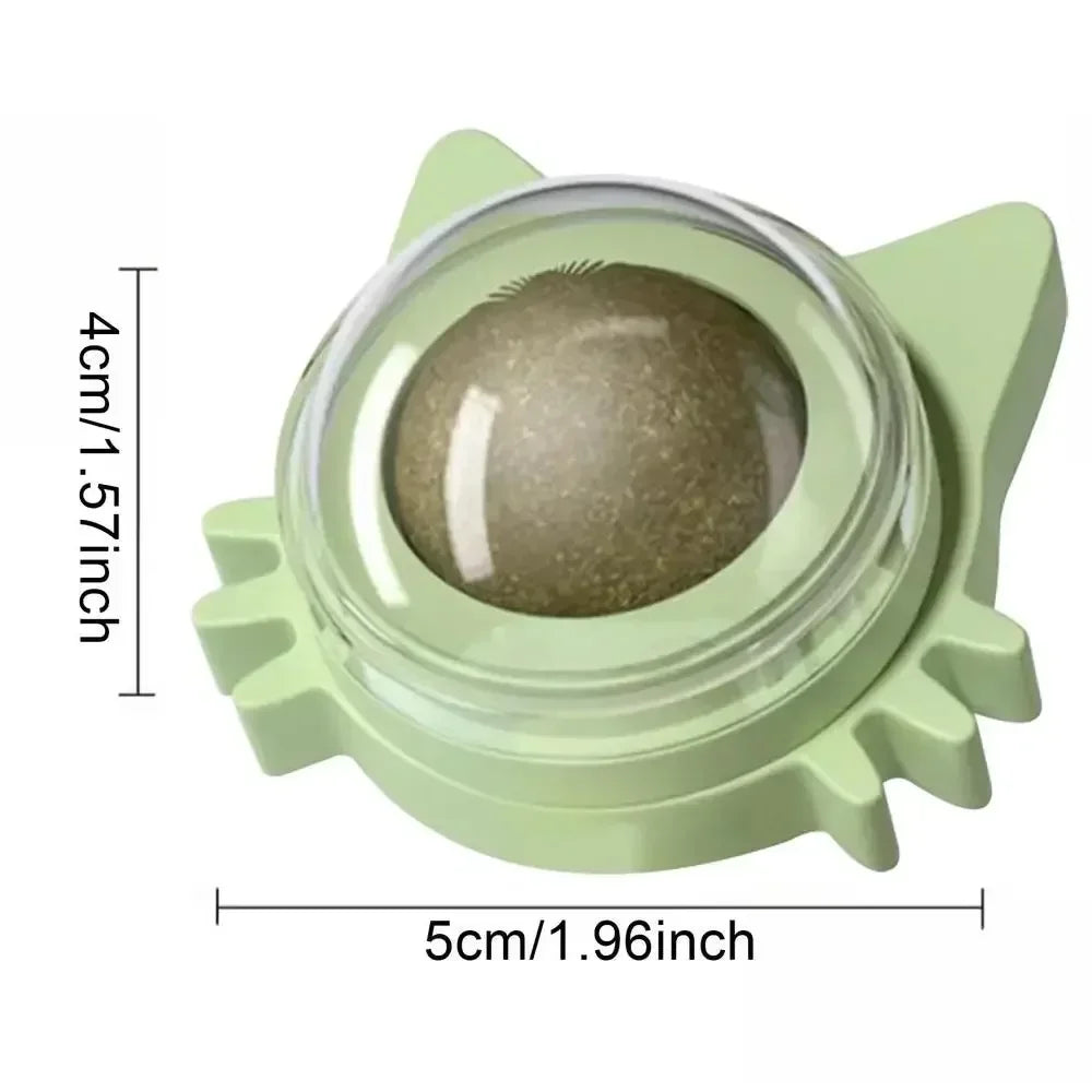 🥇 OscarPaw™ MintSphere Wall Toy