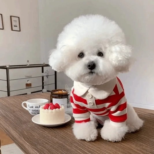 OscarPaw StripeCool™ Lightweight Dog Shirt