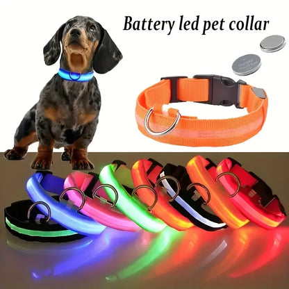 Oscar Paw LED Safety Collar for Dogs (Rechargeable & Adjustable)